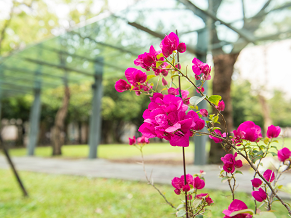 114學年度第二學期「期中教學意見回饋調查」即日起至115年4月7日止,請儘速上網填答