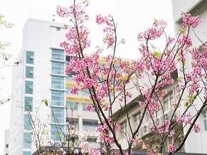 114學年度第一學期「期中教學意見回饋調查」即日起至114年10月21日止，請儘速上網填答圖片